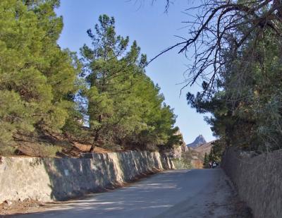 Прикрепленное изображение: DSCF8057.jpg